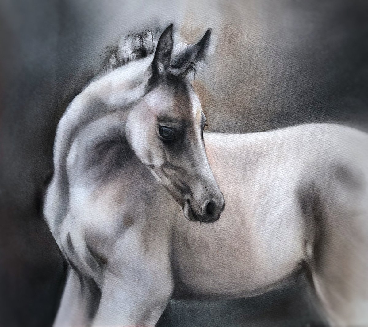 horse by Irina Kukrusova