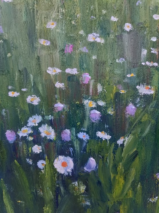 Field of daisies