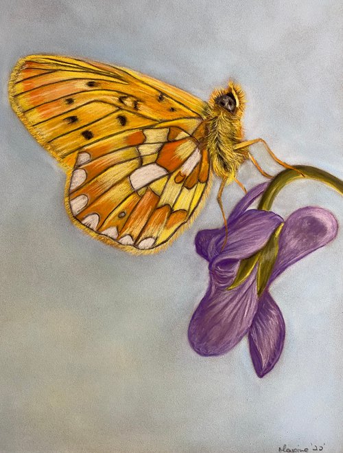 Butterfly by Maxine Taylor