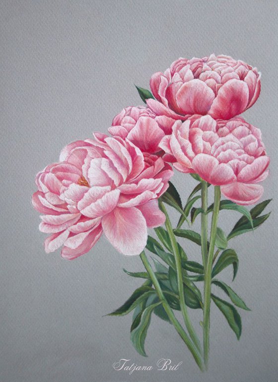 Pastel Peonies