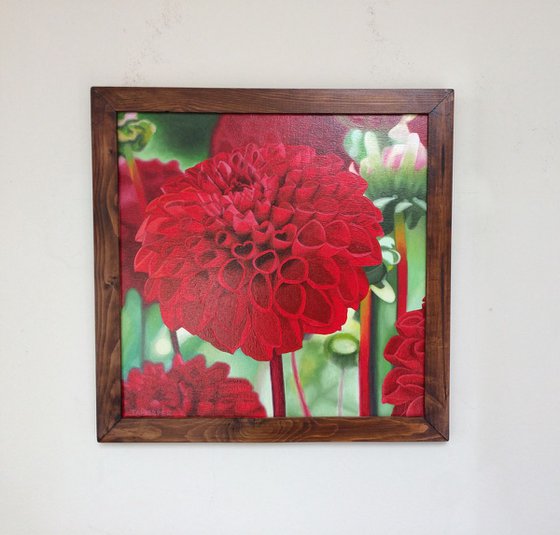 Red Dahlia