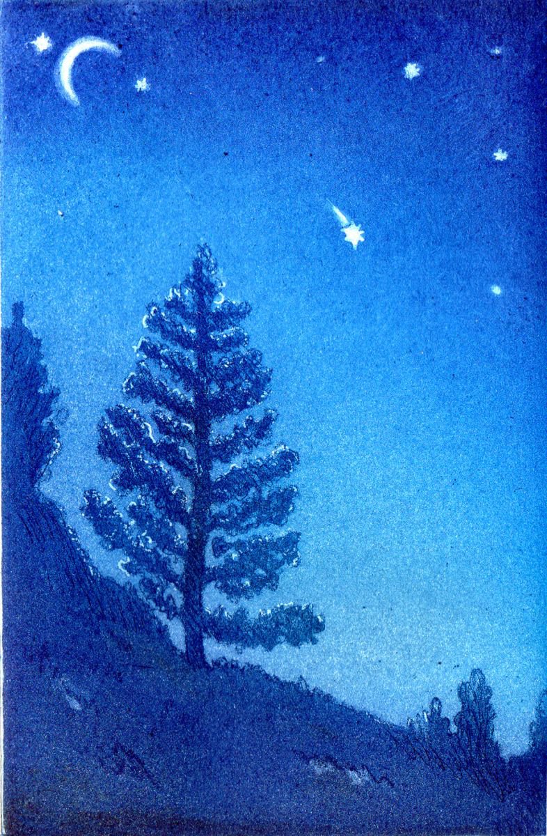 Graphic Landscape Etchings & Engravings By Theresa Pateman, 7 X 11", One Wintry Night, Original Artwork