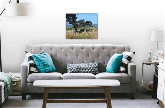 Point Lobos, San Francisco