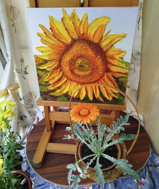 Sunlit sunflower
