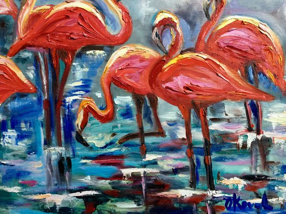 ORANGE FLAMINGOS.  FOGGY MORNING