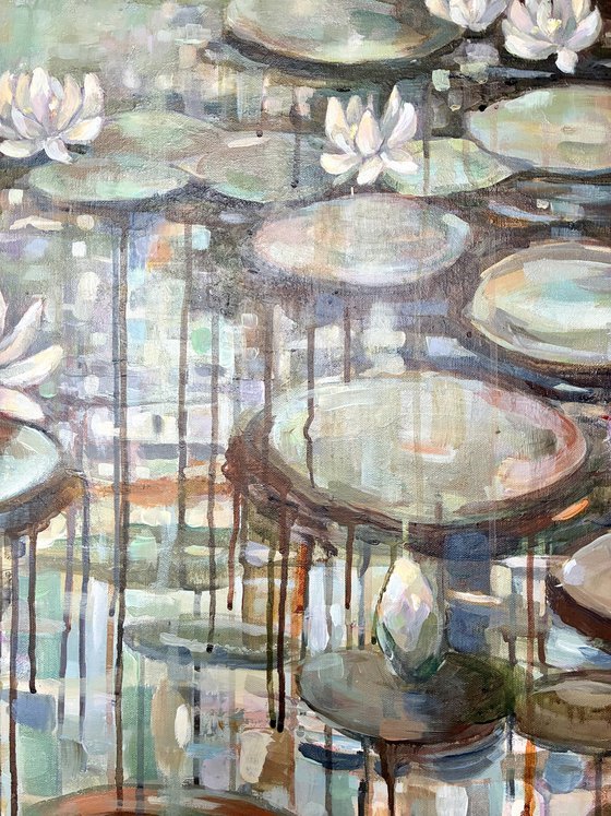 Rain on Lily pond