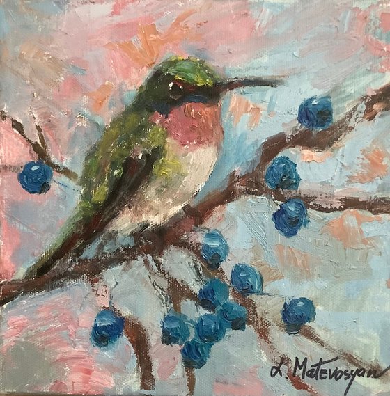 Hummingbird