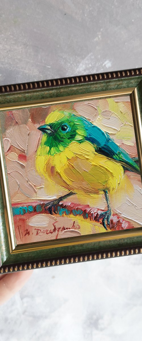 Blue chlorophonia bird by Nataly Derevyanko
