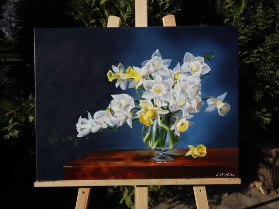 Daffodils,  Delicate Bouquet