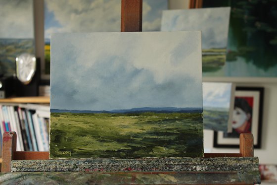 Grasslands, Irish Landscape