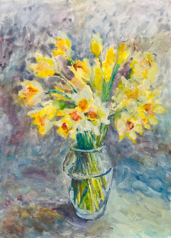 Daffodils 3 2024