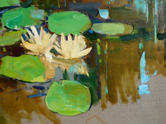 "Water Lilies  "
