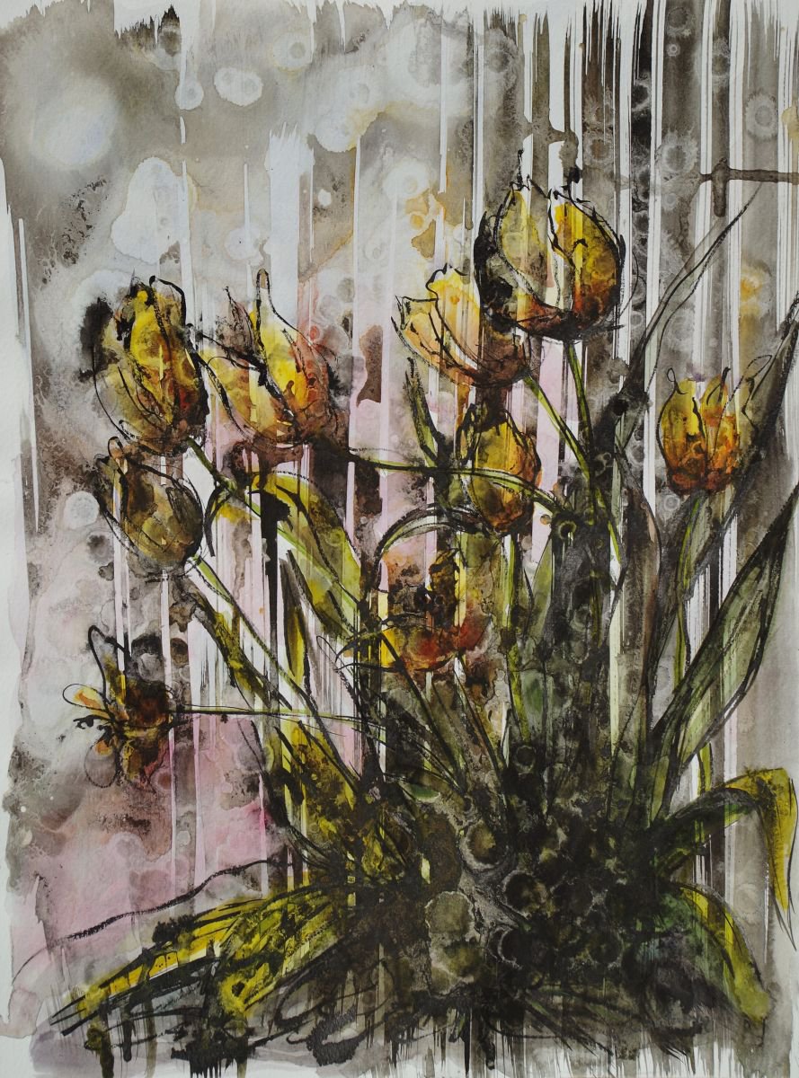 Yellow tulips by Beta Sudnikowicz