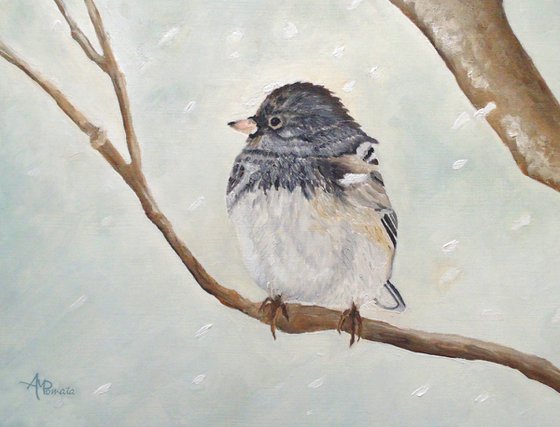 Snowbird In The Blizzard