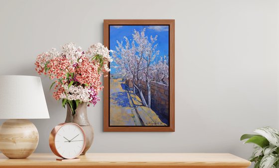 Blue Sky, White Almond Trees