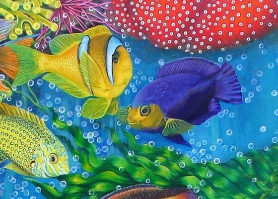 Dream in the Reef