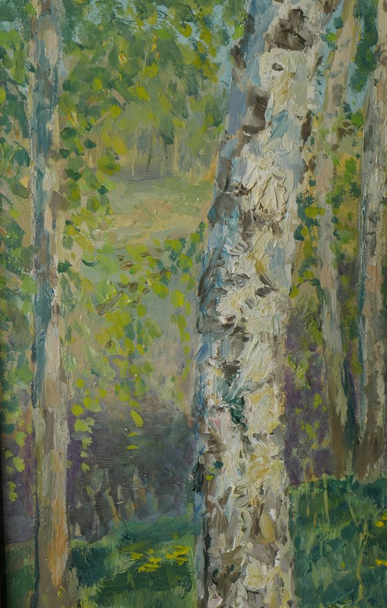 The May evening in the birch forest - landscape painting