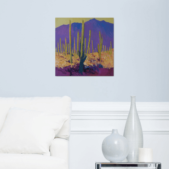 Desert Evening, Saguaros