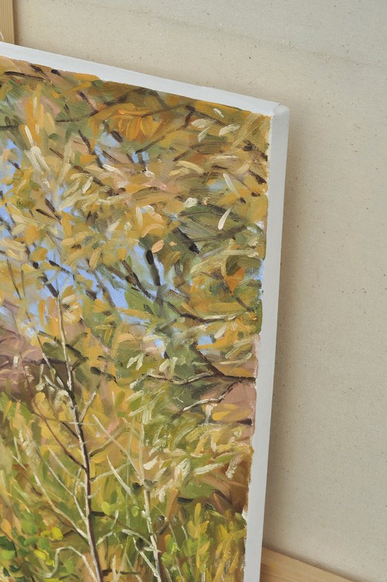 The Loire, autumn morning