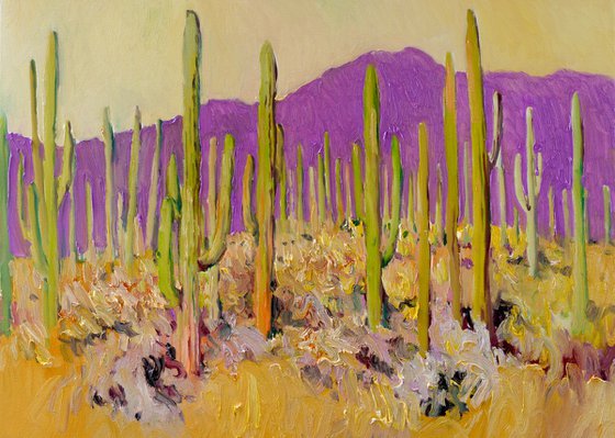 Saguaro Cactuses
