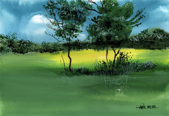 Sunbeams On The Meadow