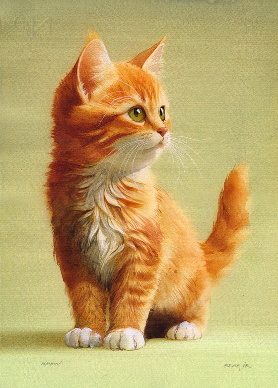 Kitten IV