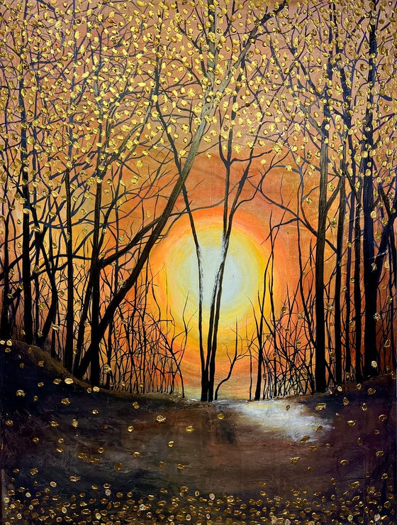 Sunset in the forest