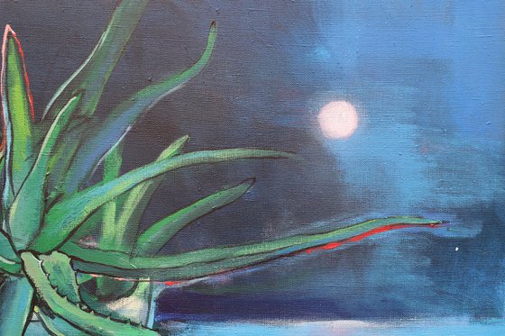 Aloe Vera and Moon