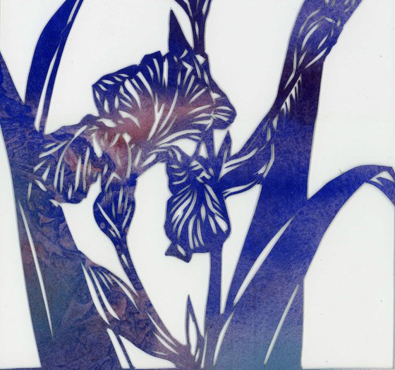 blue iris watercolor papercut