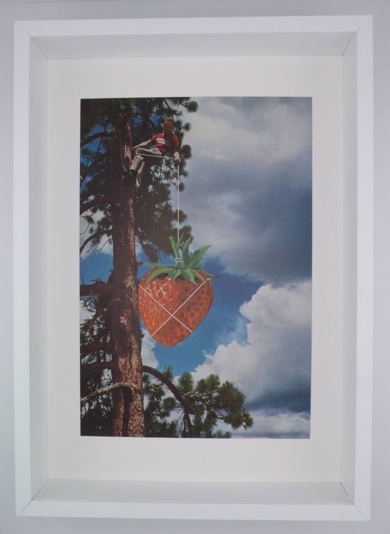 Strawberry Picker