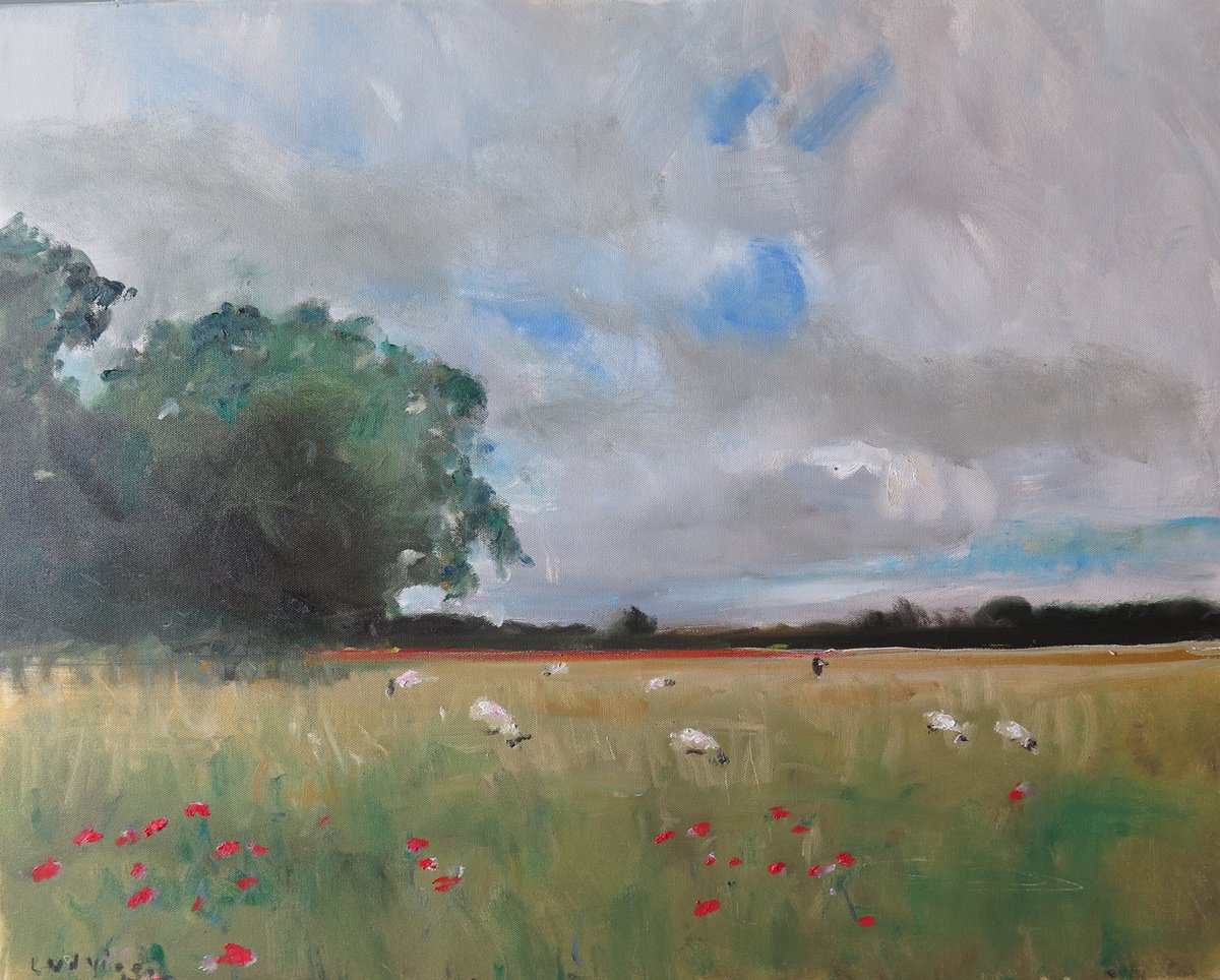 Tilmire Common, York by Malcolm Ludvigsen