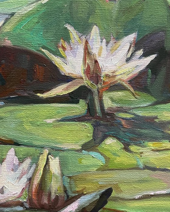 Sunny water lilies 60.6 cm/ 72.7 cm