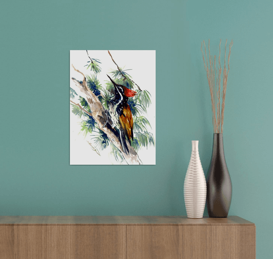 woodpecker