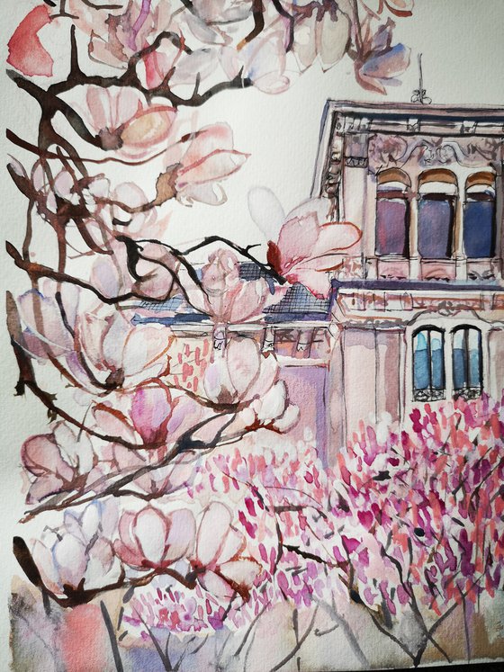 Blooming Magnolia