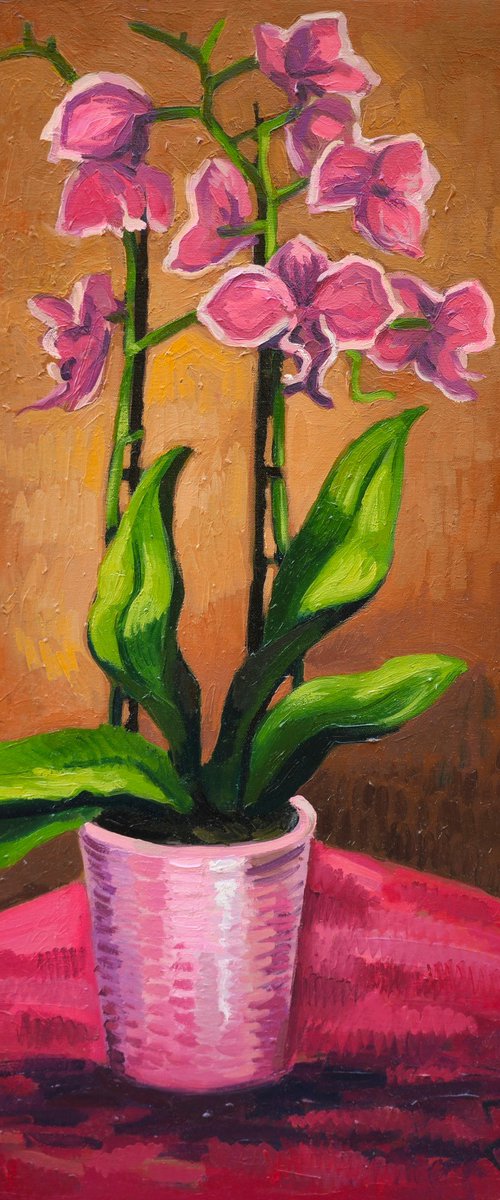 "Orchids" by Joan Mato