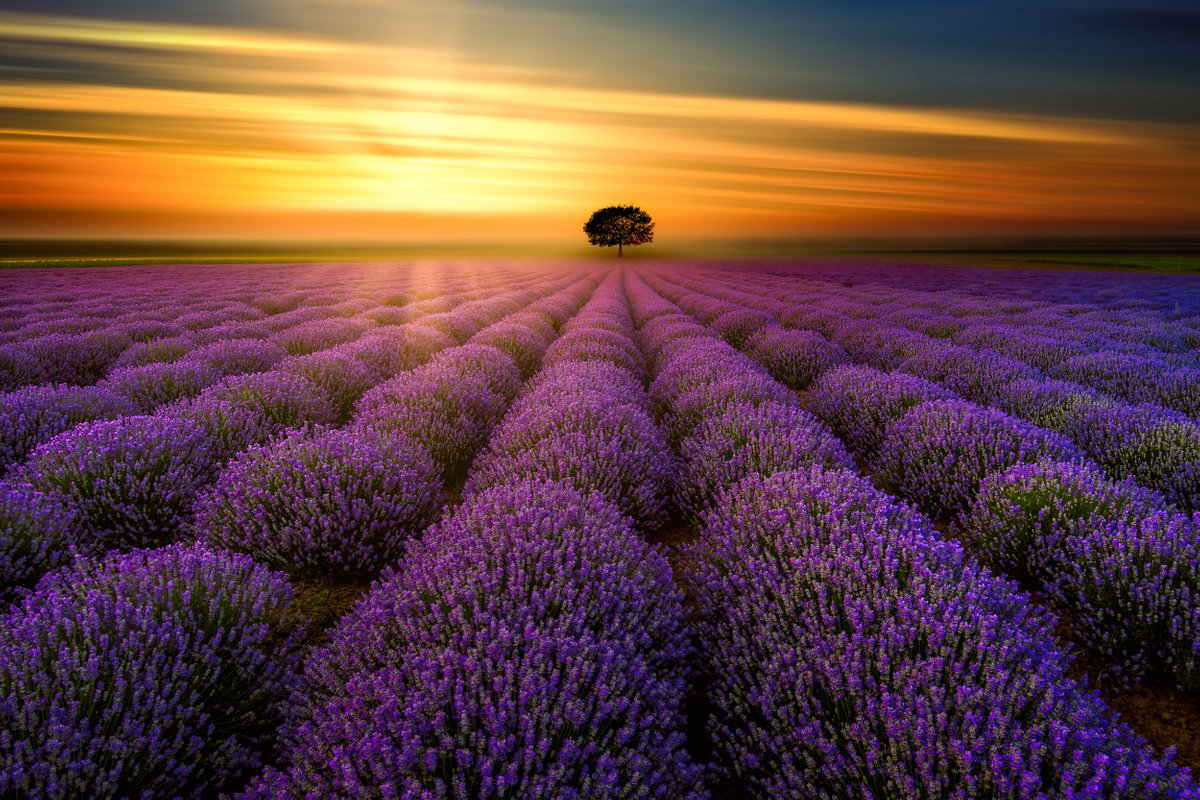 SUNSET IN PROVENCE...Ready to hang, limited edition photograph made in France by Harv Greenberg