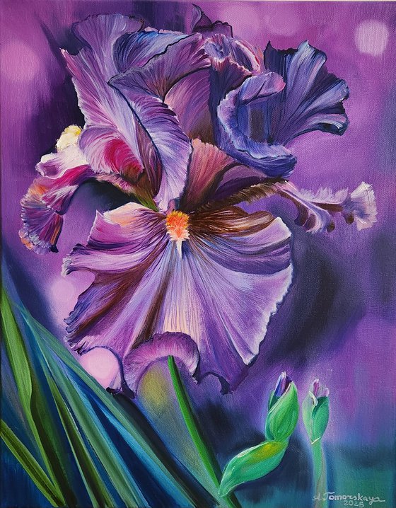 Iris in Barocco Style.