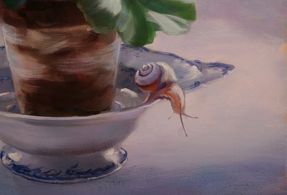 "Geraniums and snails"