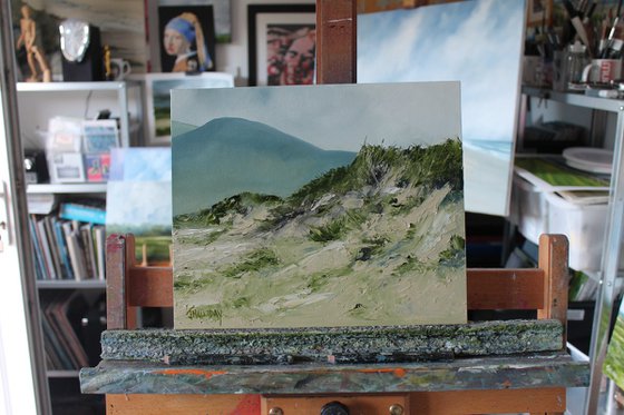 Murlough Dunes Irish Landscape