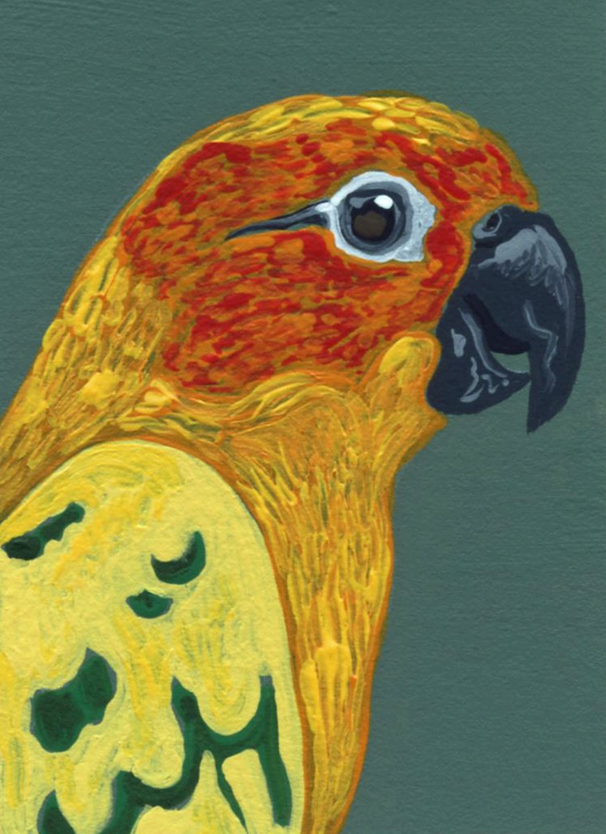 ACEO ATC Original Miniature Painting Sun Conure Parrot Pet Bird Art-Carla Smale by carla smale