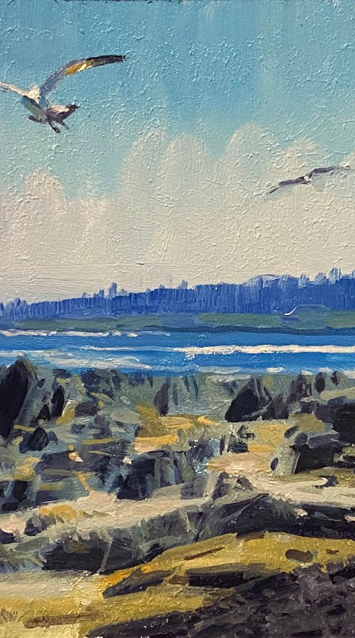 Sunshine Coast by Paul Cheng
