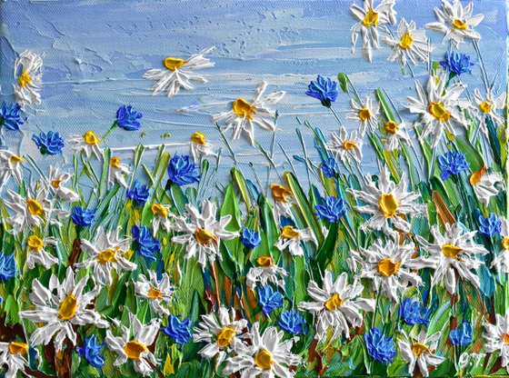 Field of Daisies