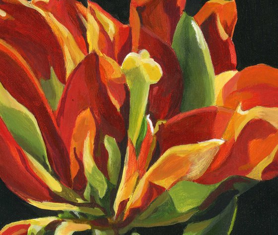 spring tulip acrylic floral