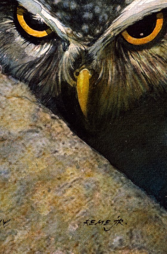 Little Owls