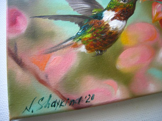 Hummingbird Realistic Animals