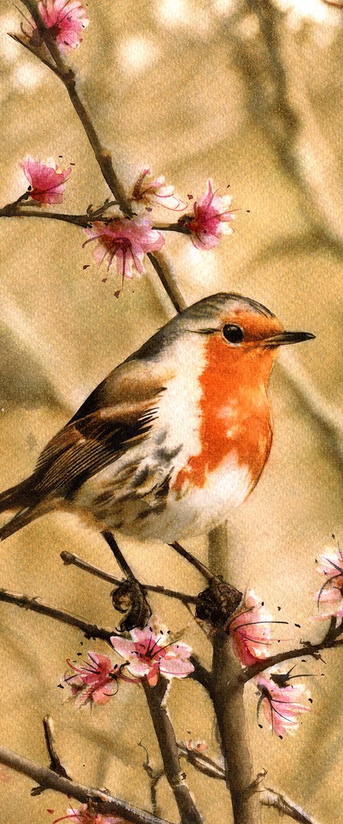 Red Robin II by REME Jr.