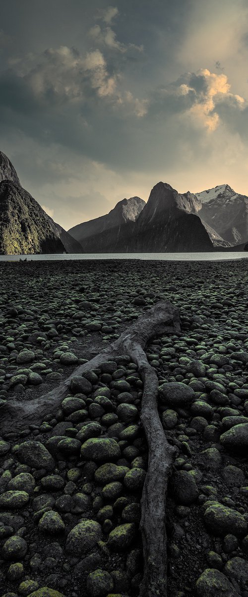 Serenity at Milford Sound by Nick Psomiadis