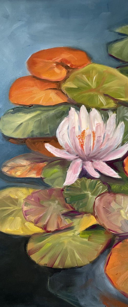 Petals on Water by Maria Romano