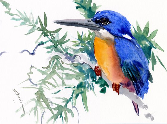 Azure Kingfisher Watercolor Artwork