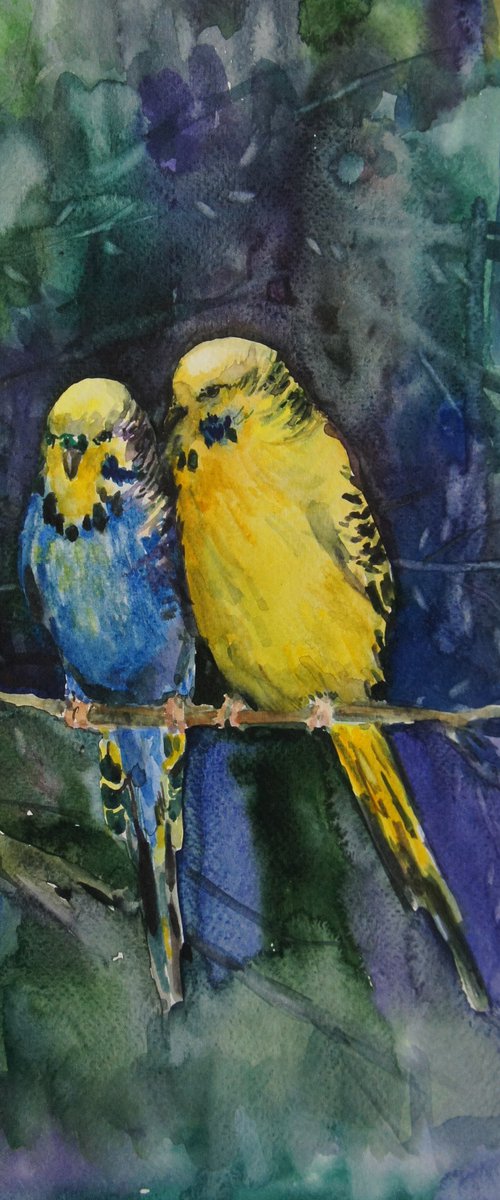 Parrots by Elena Sanina